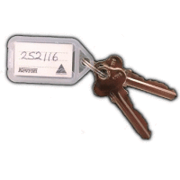LW5 Keys cut with pinning code