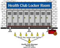 50 x FL Square Back Cupboard Lock Master keyed 4