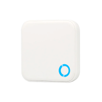 Lionhead Locks G5 WIFI GATEWAY