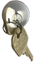 Restricted ILCO IP9 Key Rim Cylinder Satin Chrome